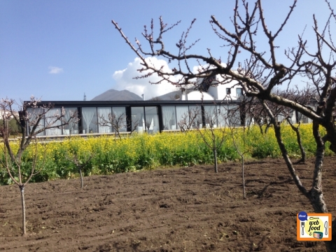 masseria2